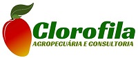 Clorofila